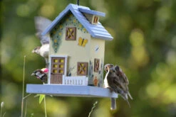 Vogelhaus Summer | Vogelhäuser Von Dobar