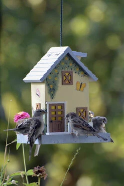 Vogelhaus Summer | Vogelhäuser Von Dobar -Elho Compo Geschaft 555835 Vogelhaus Summer 25119FSC dr 4