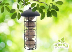 Meisenknödel Im Eimer Mit Futterspender (30 Stück) | Meisenknödel Von FLORTUS -Elho Compo Geschaft 556010 Meisenknoedel im Eimer mit Futterspender 30 Stueck 2000 0874 4 1