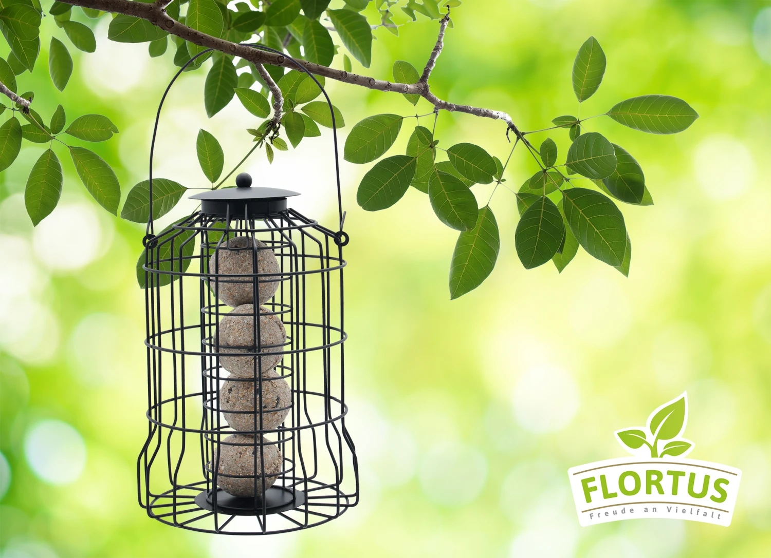 Futterspender Mit Meisenknödel (4 Stück) | Meisenknödel Von FLORTUS 6 Futterspender Mit Meisenknödel (4 Stück) | Meisenknödel Von FLORTUS – Bild 4