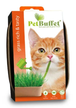 Pet-Buffet Katzengras Rich &amp; Tasty (3 Tütchen) | Katzen Von Baza