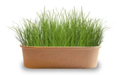 Pet-Buffet Zimmervögel Avis (3 Tütchen) | Vogelzubehör &amp; Vogelbedarf Von Baza