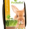 Pet-Buffet Kaninchen Gourmet (3 Tütchen) | Kaninchen Von Baza 2 Pet-Buffet Kaninchen Gourmet (3 Tütchen) | Kaninchen Von Baza -Elho Compo Geschaft 556717 Pet Buffet Kaninchen gourmet 3 Tuetchen 18050540 bz 0