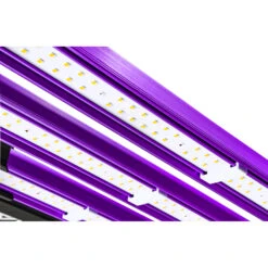 ATS (300W) PRO LED (27 µmol/J 816 µmol/s) | Growbeleuchtung Von Lumatek 19 ATS (300W) PRO LED (27 µmol/J 816 µmol/s) | Growbeleuchtung Von Lumatek -Elho Compo Geschaft 557252 ATS 300W PRO LED 27 mol J 816 mol s 535414 Lumatek ATS 300 W PRO LED 2 7 mol J 816 mol s Growbeleuchtung 9