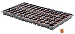 Eazy Plug Anzuchtwürfel CT104, Rund, 3,5 X 2 Cm, Tray Mit 104 St. | Anzuchttray 7 Eazy Plug Anzuchtwürfel CT104, Rund, 3,5 X 2 Cm, Tray Mit 104 St. | Anzuchttray -Elho Compo Geschaft 557342 Eazy Plug Anzuchtwuerfel CT104 rund 3 5 x 2 cm Tray mit 104 St 534573 Eazy Plug Stecklingstrays 104 St rund klein 2