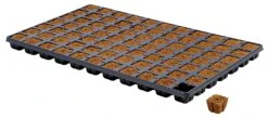 Eazy Plug Anzuchtwürfel CT77, 3,5 X 3,5 Cm, Tray Mit 77 Stk. | Anzuchttray 7 Eazy Plug Anzuchtwürfel CT77, 3,5 X 3,5 Cm, Tray Mit 77 Stk. | Anzuchttray -Elho Compo Geschaft 557344 Eazy Plug Anzuchtwuerfel CT77 3 5 x 3 5 cm Tray mit 77 Stk 533627 Eazy Plug Anzuchtwuerfel 3 5x3 5 cm Tray mit 77 St