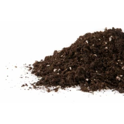 Plagron Lightmix, 50 L | Erdsubstrat -Elho Compo Geschaft 558174 Plagron Lightmix 50 l Erdsubstrat 533489 Plagron Light mix enthaelt Perlite 50 l 1