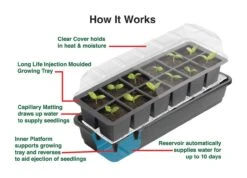 24 Töpfe Selbstbewässerungs -Anzuchtset | Anzuchtschalen Von Garland -Elho Compo Geschaft 558797 24 Toepfe Selbstbewaesserungs Anzuchtset G165 gl 3