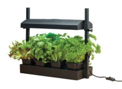 Micro Grow Light Garten | Zimmergewächshaus Von Garland 11 Micro Grow Light Garten | Zimmergewächshaus Von Garland -Elho Compo Geschaft 558806 50 x 20 x 45 cm Micro Grow Light Garten Schwarz G187BEU gl 0