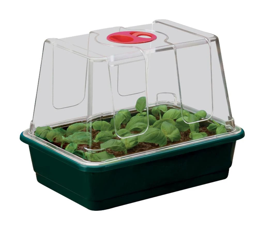 Zimmergewächshaus Mit Verstellbarer Luftzirkulation | Anzuchtzubehör Von Garland 4 Zimmergewächshaus Mit Verstellbarer Luftzirkulation | Anzuchtzubehör Von Garland – Bild 2