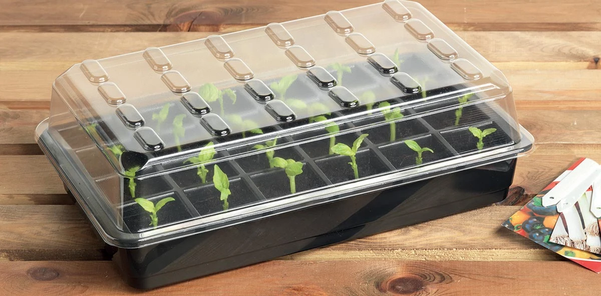 55 X 49 X 16,5 Cm 24 Töpfe Starter Set | Anzuchtschalen Von Garland 6 55 X 49 X 16,5 Cm 24 Töpfe Starter Set | Anzuchtschalen Von Garland – Bild 4