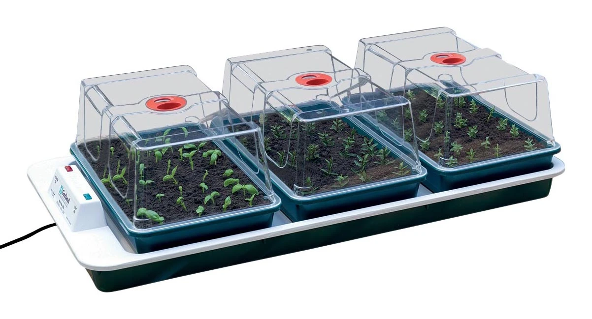 80,5 X 41 X 20 Cm Elektrisches Zimmergewächshaus Big 3 (3 Stück) | Zimmergewächshaus Von Garland 4 80,5 X 41 X 20 Cm Elektrisches Zimmergewächshaus Big 3 (3 Stück) | Zimmergewächshaus Von Garland – Bild 2