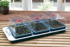 80,5 X 41 X 20 Cm Elektrisches Zimmergewächshaus Big 3 (3 Stück) | Zimmergewächshaus Von Garland 7 80,5 X 41 X 20 Cm Elektrisches Zimmergewächshaus Big 3 (3 Stück) | Zimmergewächshaus Von Garland -Elho Compo Geschaft 558839 80 5 x 41 x 20 cm Elektrisches Zimmergewaechshaus Big 3 3 Stueck mit EU Stecker G78EU gl 2