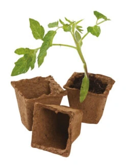 6 Cm Vierkantfasertöpfe | Anzuchttöpfe Von Garland -Elho Compo Geschaft 558865 6 cm Vierkantfasertoepfe W0288 gl 1