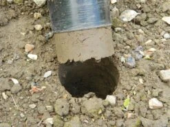 28 X 26 X 7,5 Cm Kurzstieliger Blumenzwiebel Pflanzer | Gartenzubehör Von Garland -Elho Compo Geschaft 558875 28 x 26 x 7 5 cm Kurzstieliger Blumenzwiebel Pflanzer W0474 gl 6