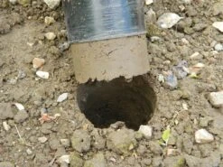 88 X 30,5 X 7,5 Cm Langstieliger Blumenzwiebel Pflanzer | Gartenzubehör Von Garland -Elho Compo Geschaft 558876 88 x 30 5 x 7 5 cm Langstieliger Blumenzwiebel Pflanzer W0475 gl 7