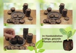 36 Mm Torf Quelltabletten | Torf Quelltabletten Von FLORTUS -Elho Compo Geschaft 558921 36 mm Torf Quelltabletten 2000 0977 36x 2