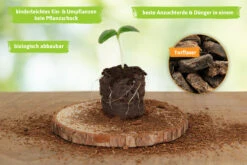 36 Mm Torf Quelltabletten | Torf Quelltabletten Von FLORTUS -Elho Compo Geschaft 558921 36 mm Torf Quelltabletten 2000 0977 36x 3 1