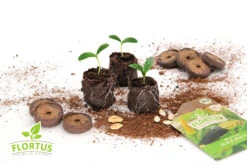 36 Mm Torf Quelltabletten | Torf Quelltabletten Von FLORTUS -Elho Compo Geschaft 558921 36 mm Torf Quelltabletten 2000 0977 36x 6