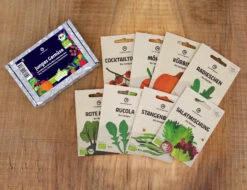 Junges Gemüse Set | BIO Gemüsesamen-Sets Von Wundergarten