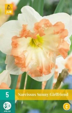 Narzisse Sunny Girlfriend (5 Stück) | Narzissenzwiebeln Von Jub Holland