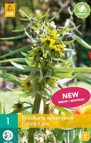 Fritillaria Green Eyes (1 Stück) | Kaiserkronenzwiebeln Von Jub Holland 3 Fritillaria Green Eyes (1 Stück) | Kaiserkronenzwiebeln Von Jub Holland