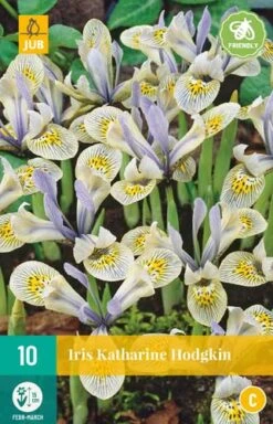 Iris Katharine Hodgkin (10 Stück) | Schwertlilienknollen Von Jub Holland