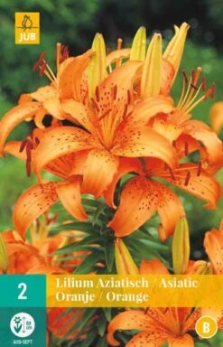 Waldhyazinthe Oranje (2 Stück) | Hasenglöckchen Von Jub Holland