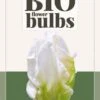 Tulpe White Rebel (7 Stück) | BIO Tulpenzwiebeln Von Jub Holland -Elho Compo Geschaft 560040 BIO Tulpe White Rebel 10 Stueck 325295 jb 0