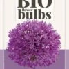 Zierlauch Purple Sensation (5 Stück) | BIO Alliumzwiebeln Von Jub Holland -Elho Compo Geschaft 560047 BIO Zierlauch Purple Sensation 5 Stueck 325520 jb 0
