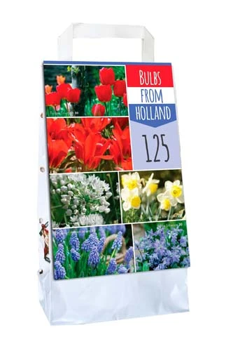 Bulbs From Holland (125 Stück) | Blumenzwiebelmischungen Von Jub Holland 3 Bulbs From Holland (125 Stück) | Blumenzwiebelmischungen Von Jub Holland