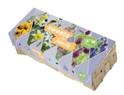 Box 'Sweets For Insects' (50 Stück) | Blumenzwiebelmischungen Von Jub Holland