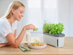 HARRY HERBS Kräutertopf Hellgrau | Kräutertöpfe Von Gusta Garden -Elho Compo Geschaft 560334 HARRY HERBS hellgrau 100B10 gg 7