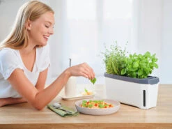 HARRY HERBS Kräutertopf Weiß | Kräutertöpfe Von Gusta Garden -Elho Compo Geschaft 560336 HARRY HERBS weiss 102B10 gg 8