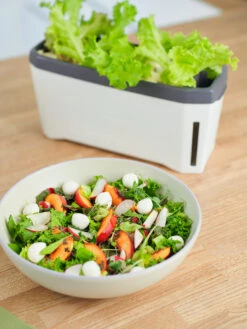 HARRY HERBS Weiß Ohne Haube | Kräutertöpfe Von Gusta Garden -Elho Compo Geschaft 560337 HARRY HERBS weiss ohne Haube 102B20 gg 4