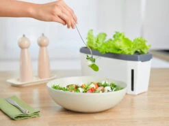 HARRY HERBS Weiß Ohne Haube | Kräutertöpfe Von Gusta Garden -Elho Compo Geschaft 560337 HARRY HERBS weiss ohne Haube 102B20 gg 5