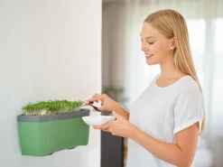 HARRY HERBS Kräutertopf Dunkelgrün | Kräutertöpfe Von Gusta Garden -Elho Compo Geschaft 560338 HARRY HERBS dunkelgruen 103B10 gg 4