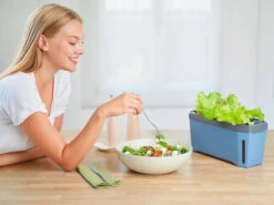 HARRY HERBS Kräutertopf Blau | Kräutertöpfe Von Gusta Garden -Elho Compo Geschaft 560340 HARRY HERBS blau 104B10 gg 8