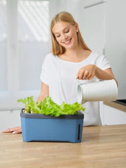 HARRY HERBS Blau Ohne Haube | Kräutertöpfe Von Gusta Garden -Elho Compo Geschaft 560341 HARRY HERBS blau ohne Haube 104B20 gg 1