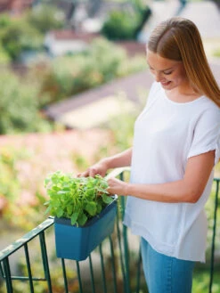 HARRY HERBS Blau Ohne Haube | Kräutertöpfe Von Gusta Garden -Elho Compo Geschaft 560341 HARRY HERBS blau ohne Haube 104B20 gg 4