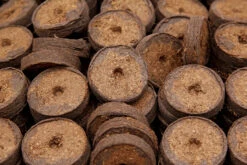 36 Mm Kokos Quelltabletten | Kokos Quelltabletten Von FLORTUS -Elho Compo Geschaft 560730 36 mm Kokos Quelltabletten 558922 36 mm Kokos Quelltabletten 2000 1013 36x 7