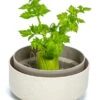 Pflanzschale ReGrow | Keimschalen Von Plastia -Elho Compo Geschaft 561276 Pflanzschale ReGrow 1606711440 pa parent 0