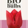 Tulpe Curry (7 Stück) | BIO Tulpenzwiebeln Von Jub Holland -Elho Compo Geschaft 561663 BIO BIO Tulpe Curry 7 Stueck 325115 jb 0