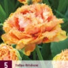 Tulpe Brisbane (5 Stück) | Tulpenzwiebeln Von Jub Holland -Elho Compo Geschaft 561667 Tulpe Brisbane 5 Stueck 313429 jb 0