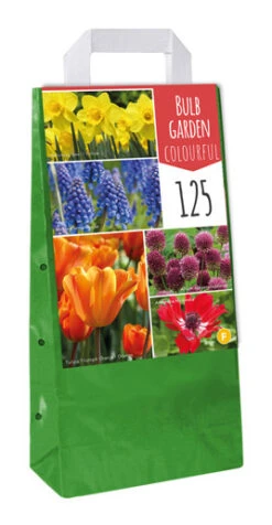 Bulb Garden Colorful (125 Stück) | Blumenzwiebelmischungen Von Jub Holland
