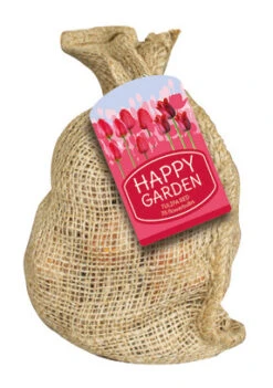 Happy Garden Tulpen Mischung Rot (35 Stück) | Blumenzwiebelmischungen Von Jub Holland