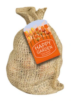 Happy Garden Tulpen Mischung Orange (35 Stück) | Blumenzwiebelmischungen Von Jub Holland