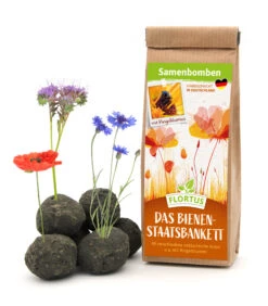 Samenbomben Das Bienenstaatsbankett (6 Stück) | Bienenwiese Von FLORTUS -Elho Compo Geschaft 562161 Samenbomben Das Bienenstaatsbankett 6 Stueck 2000 2356 1