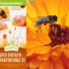 Samenbomben Das Bienenstaatsbankett (6 Stück) | Bienenwiese Von FLORTUS -Elho Compo Geschaft 562161 Samenbomben Das Bienenstaatsbankett 6 Stueck 2000 2356 2