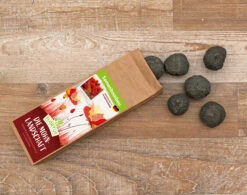 Samenbomben Die Mohnlandschaft (6 Stück) | Mohnsamen Von FLORTUS -Elho Compo Geschaft 562163 Samenbomben Die Mohnlandschaft 6 Stueck 2000 1054 3